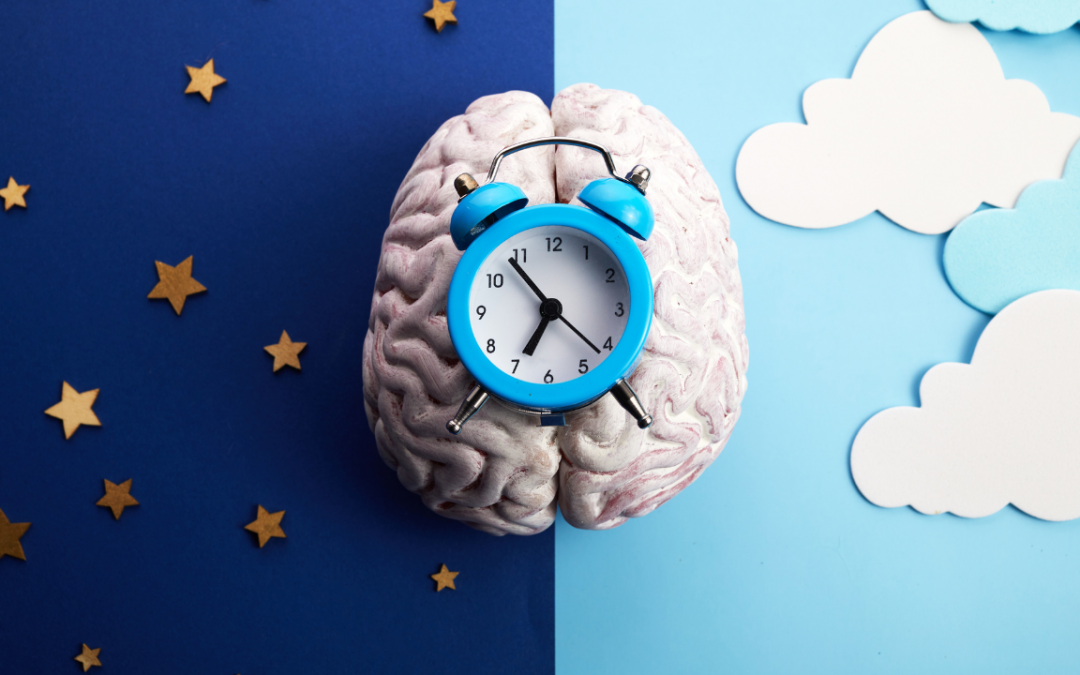 Lắng nghe nhịp sinh học để sống nhẹ nhàng hơn